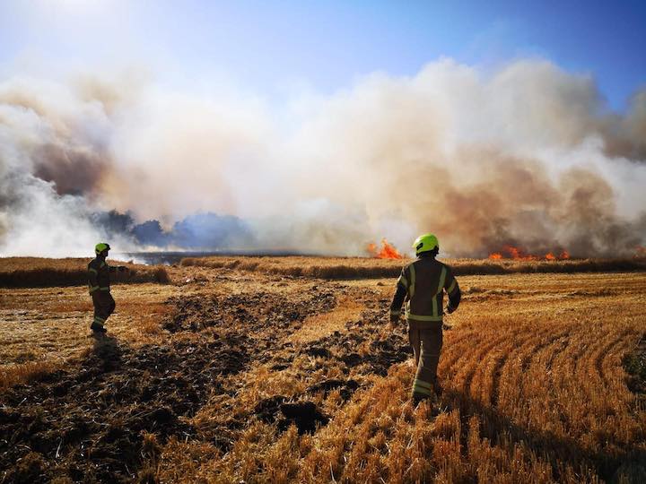 Firefighters tackle huge field fire Essex County Fire and Rescue Service